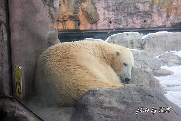 八木山動物園