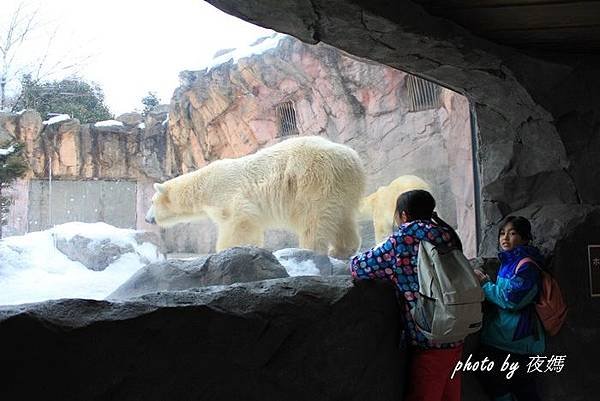 八木山動物園