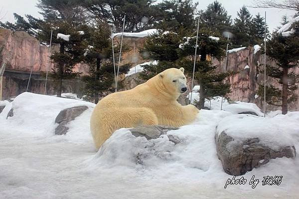 八木山動物園