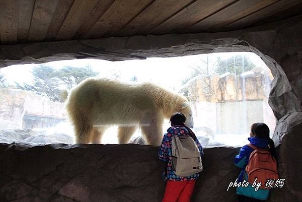 八木山動物園