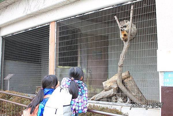 八木山動物園