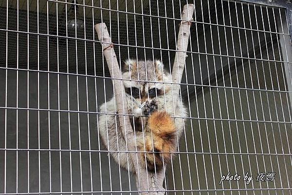 八木山動物園