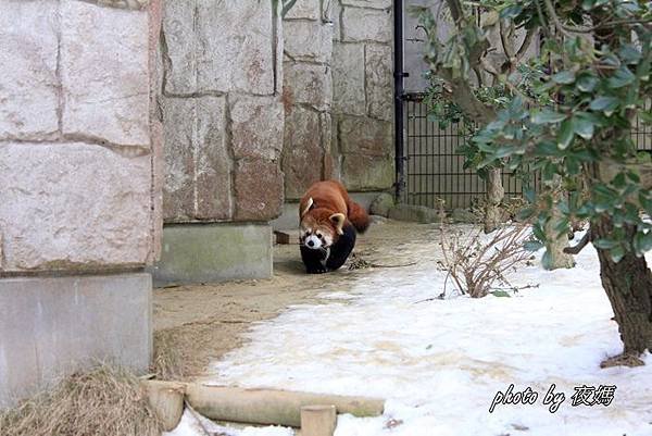 八木山動物園