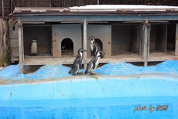 八木山動物園