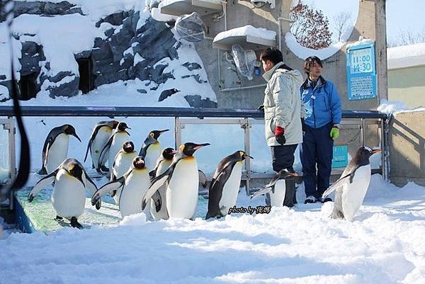 旭山動物園