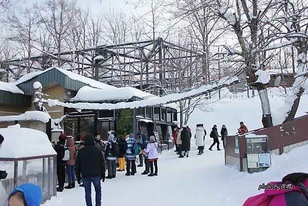 旭山動物園