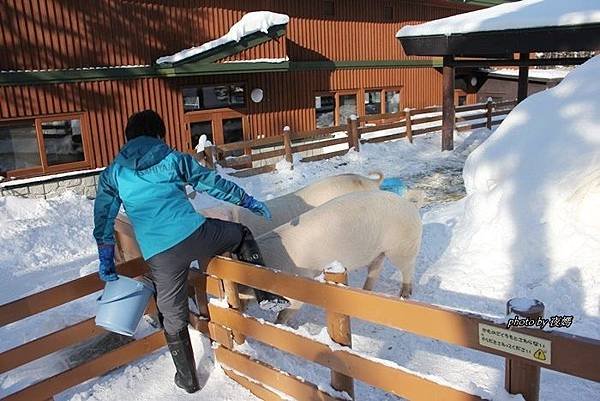 旭山動物園