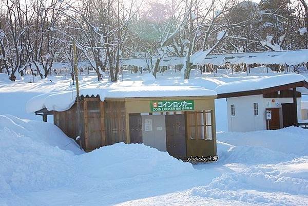 旭山動物園