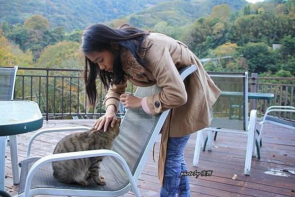 虎山溫泉會館