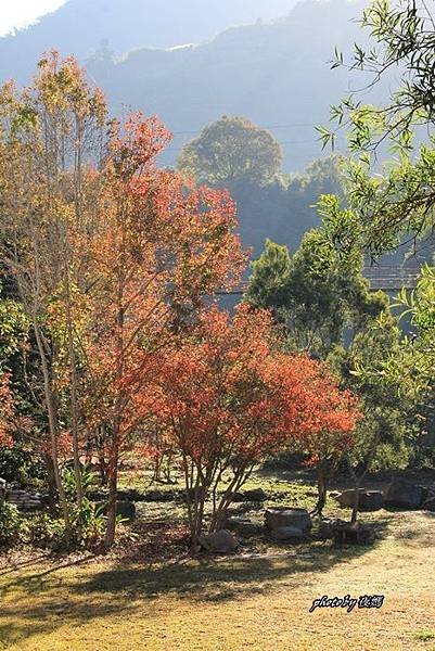 虎山溫泉會館