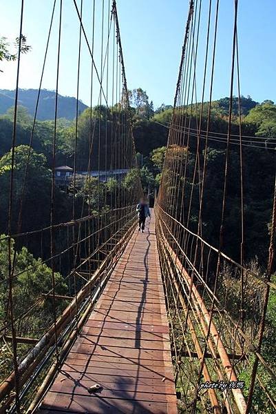 虎山溫泉會館