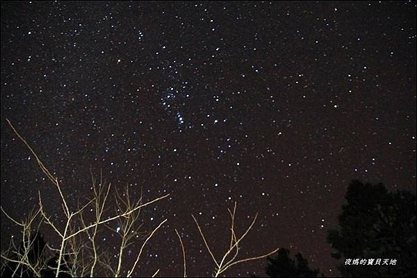 阿里山觀星