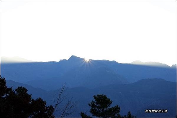 阿里山日出