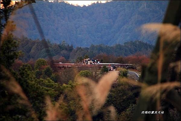 小笠原觀景台