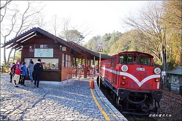 阿里山觀日火車