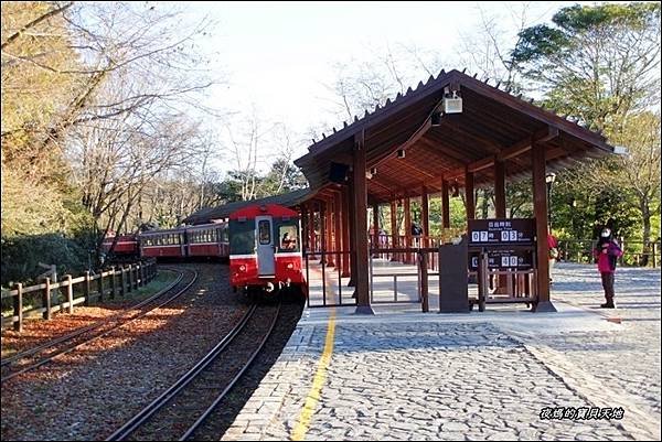 阿里山觀日火車