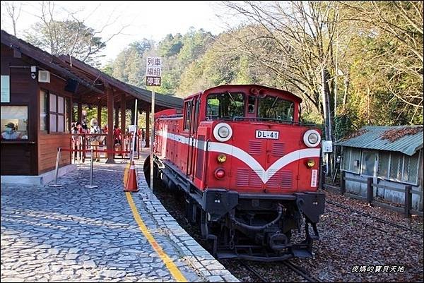 阿里山觀日火車