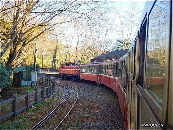 阿里山觀日火車