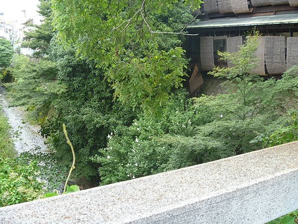 P1010067.JPG