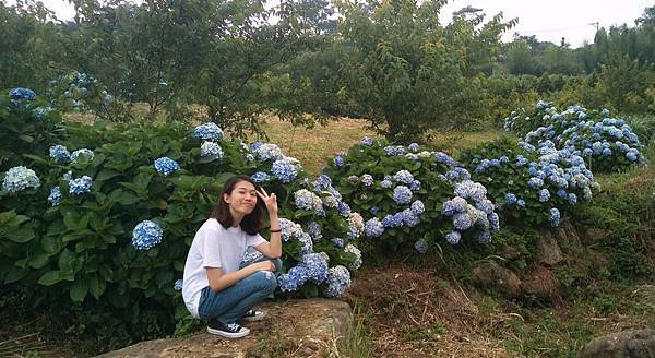 繡球花風暴💃🏻_180621_0010.jpg