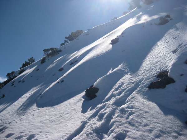 snow2