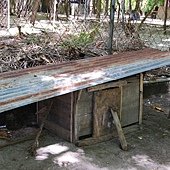 DSC_0800.JPG