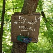 DSC_0812.JPG
