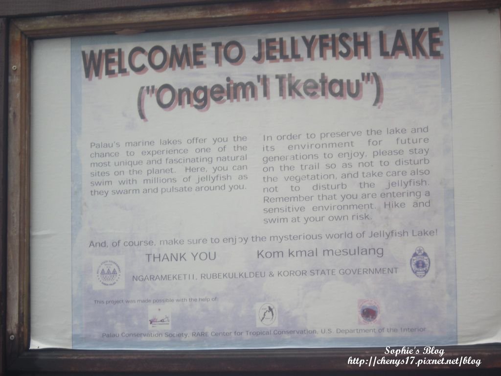 DSCN6861.JPG
