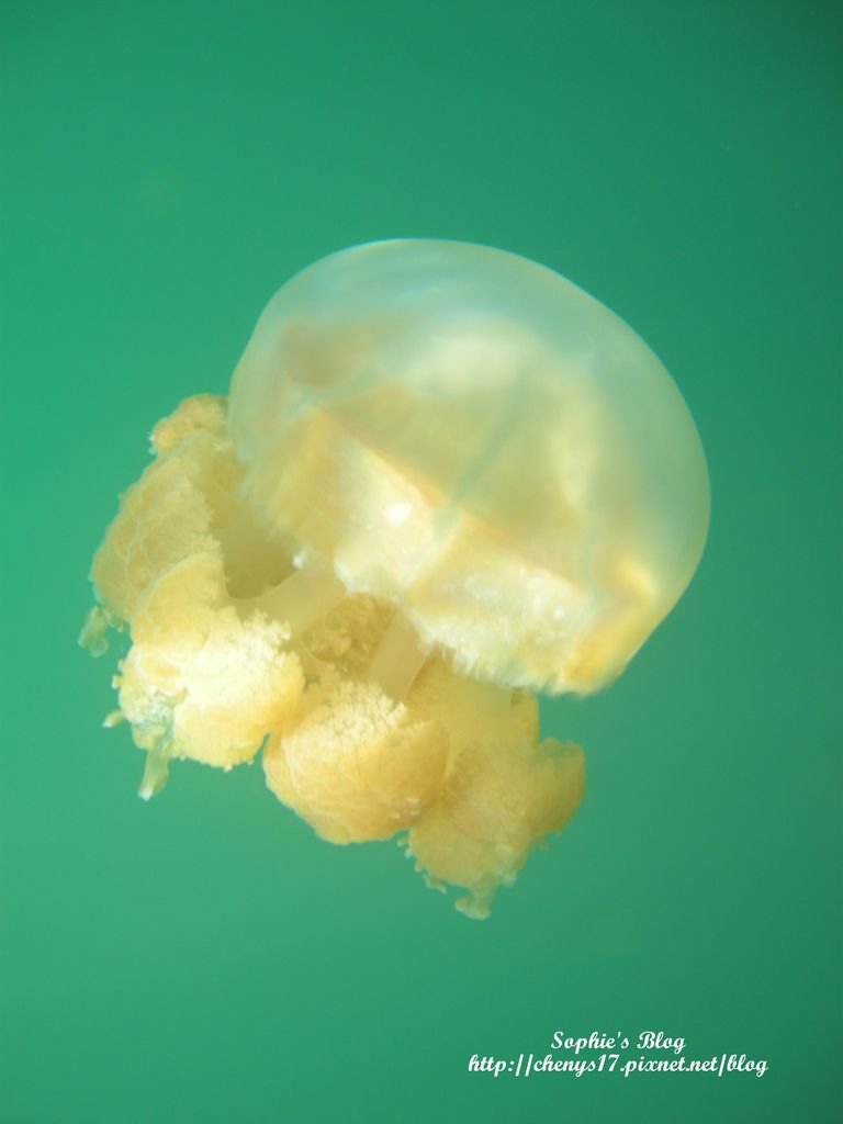 DSCN6886.JPG