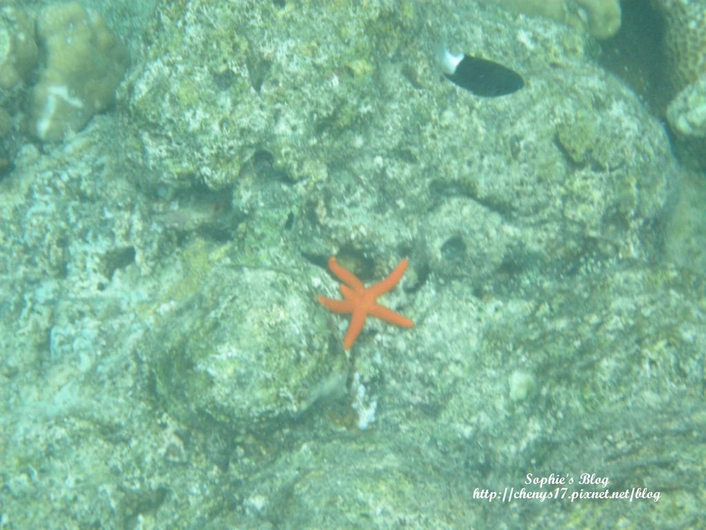 DSCN6780.JPG