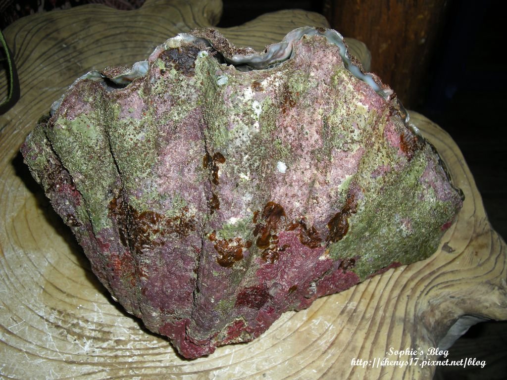 DSCN6953.JPG