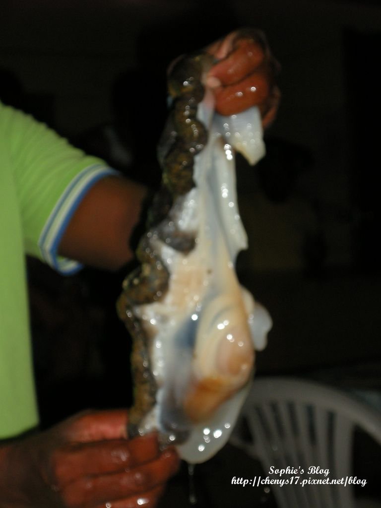 DSCN6970.JPG
