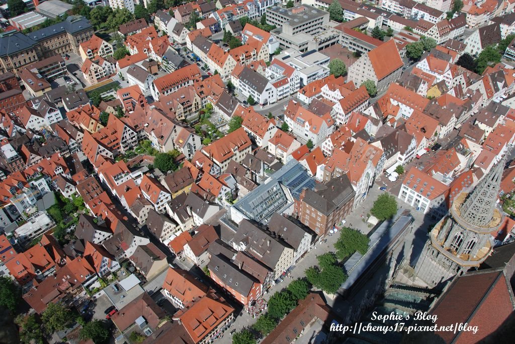 DSC_0753.JPG