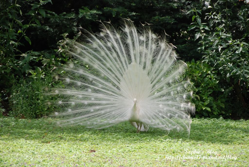 DSC_0257.JPG