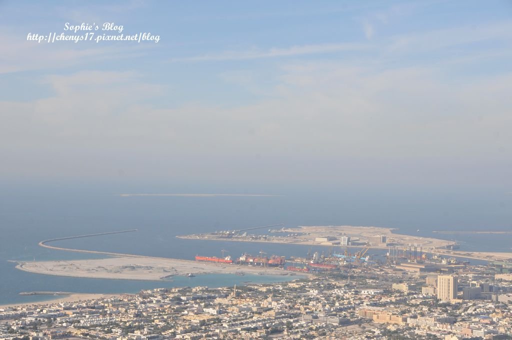 DSC_8482.JPG