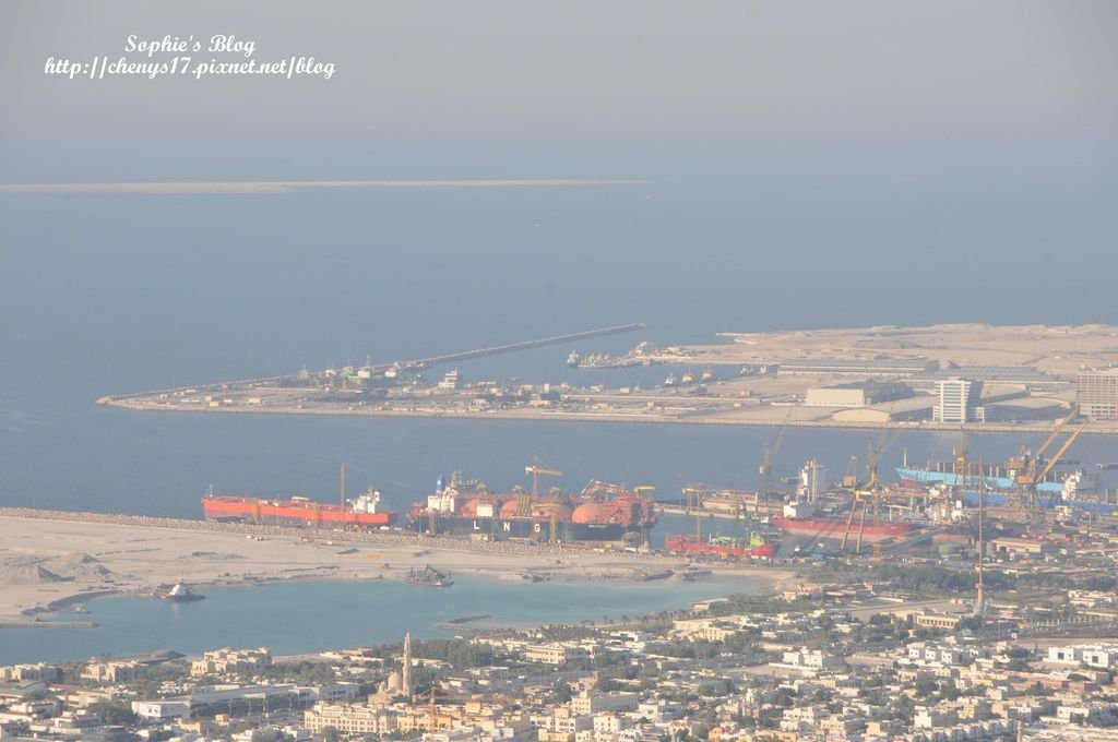 DSC_8493.JPG