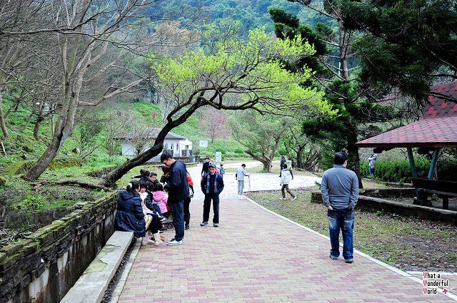 20120126-151026.jpg