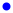 blue-dot.png