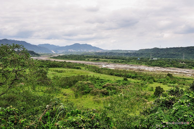 20130803-112223.jpg