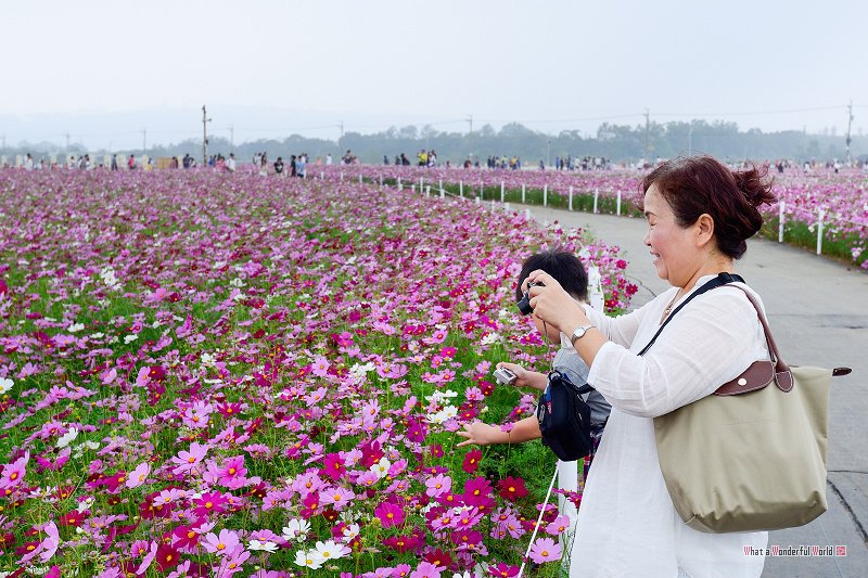 20131111-121931.jpg