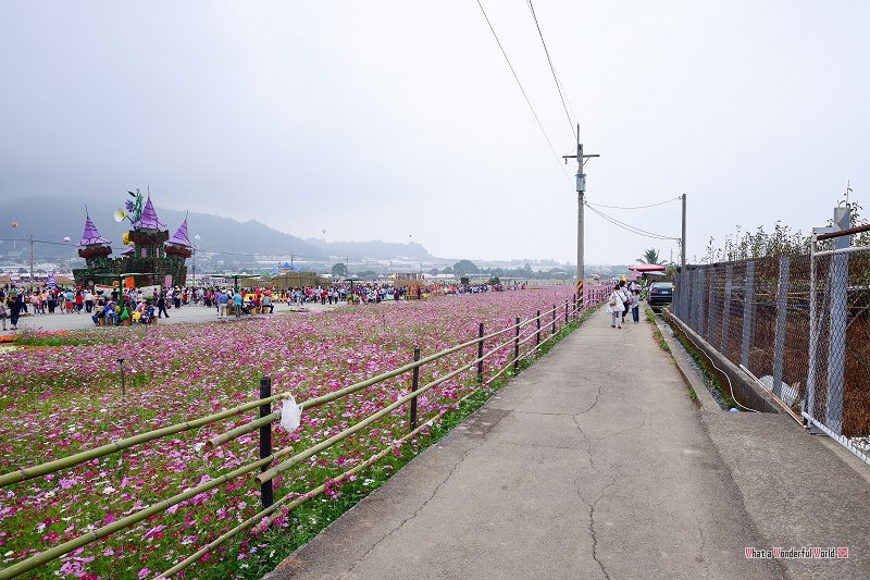 20131111-131741.jpg