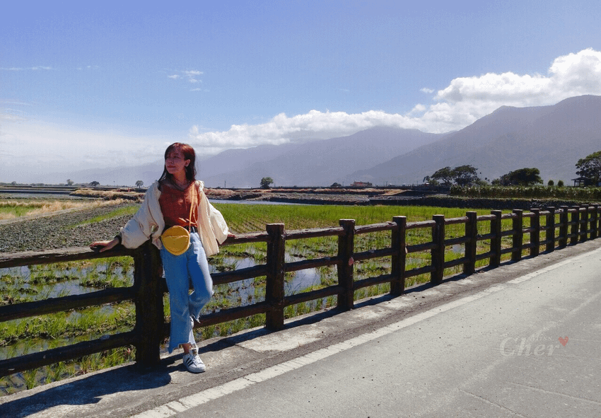 IMG_8115_结果.png
