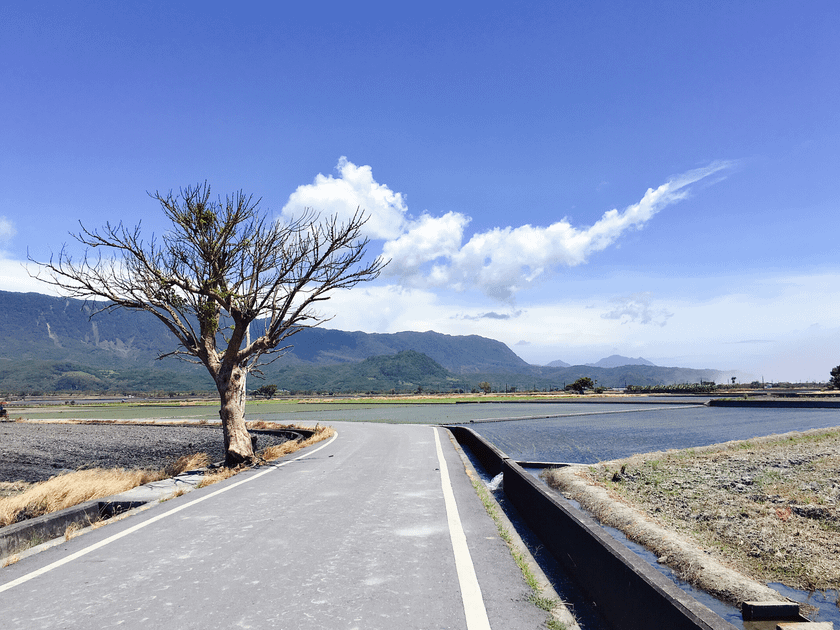 IMG_8459_结果.png
