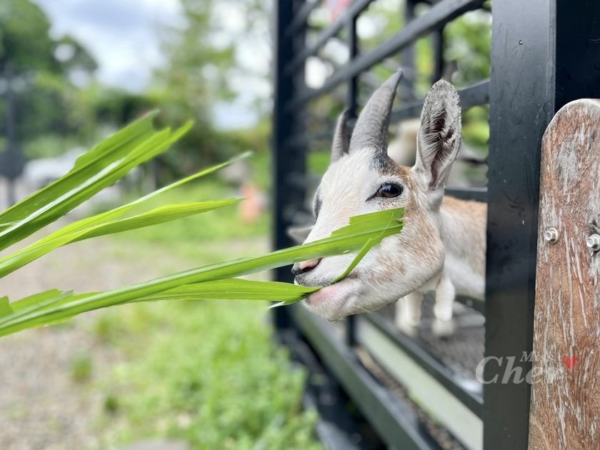 蘇家莊園_2352_结果 new.jpg