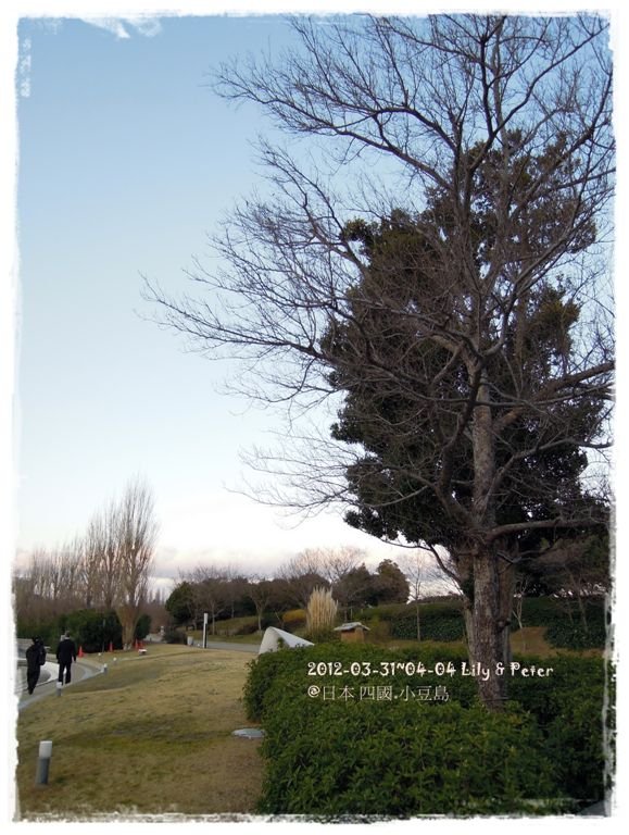 DSCN36901.jpg