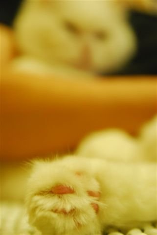 20090726 227.jpg