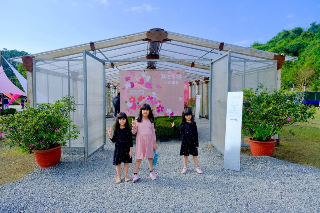 2025萬金杜鵑花展︱雙展區賞花攻略~金山中山溫泉公園、萬里