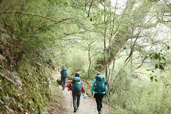 奇萊南華三天兩夜山行點滴-又驚又喜的旅程(2023/4/13