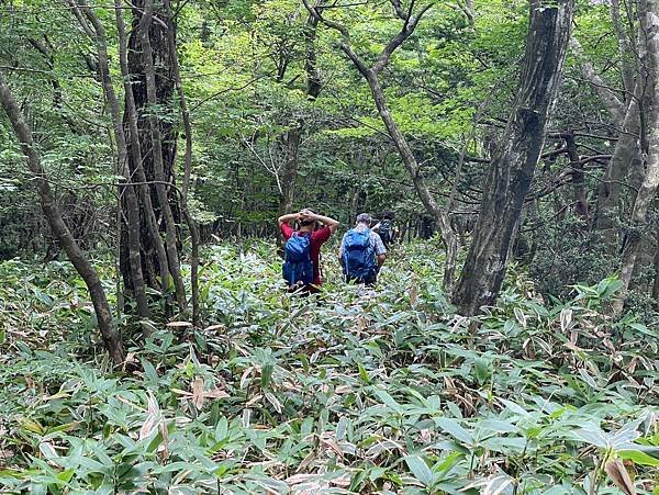 韓國最美麗的道路--濟州島思連伊步道