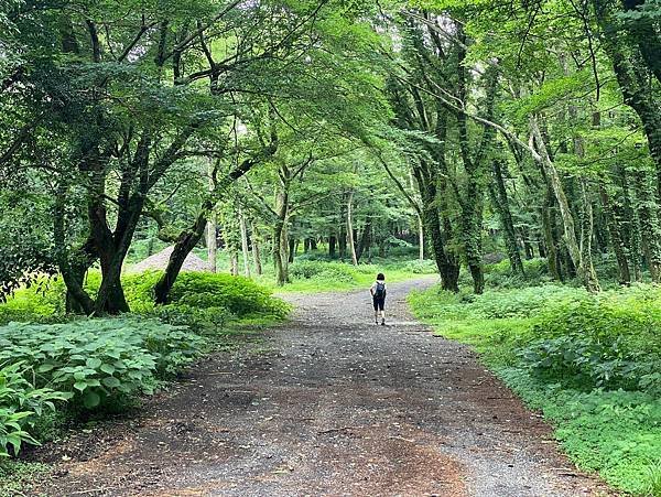 韓國最美麗的道路--濟州島思連伊步道